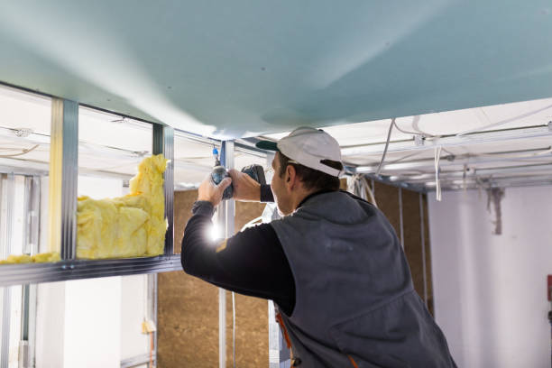 Attic Insulation Near Me in Colorado City, TX