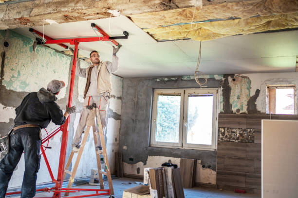 Best Spray Foam Insulation  in Colorado City, TX