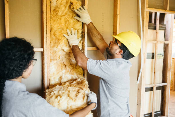 Insulation Inspection Services in Colorado City, TX