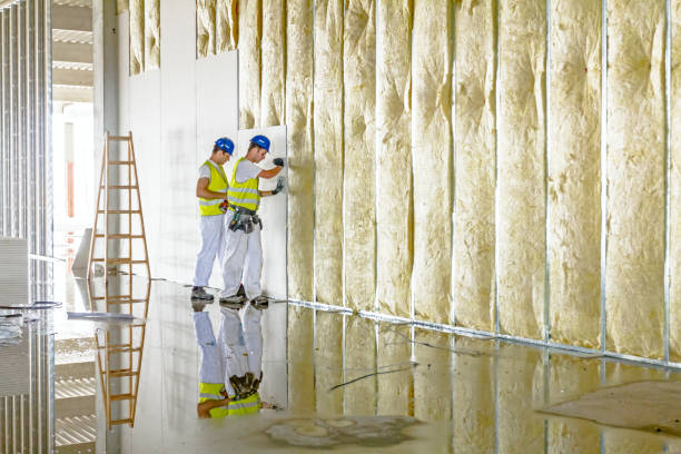 Best Insulation Removal  in Colorado City, TX